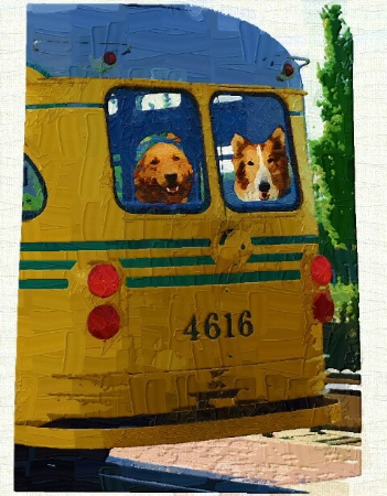 Trolley Dogs