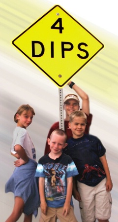 ~ Introducing... The 4 Dips! ~