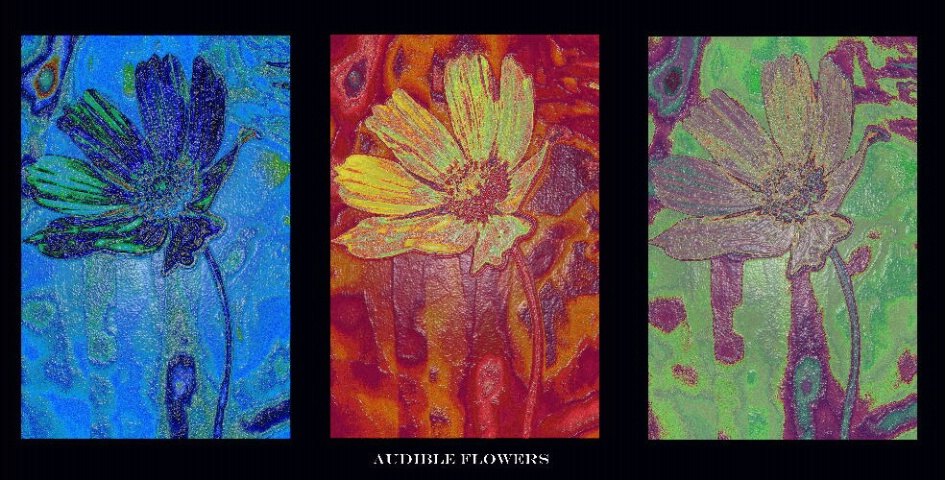 Audible Flowers