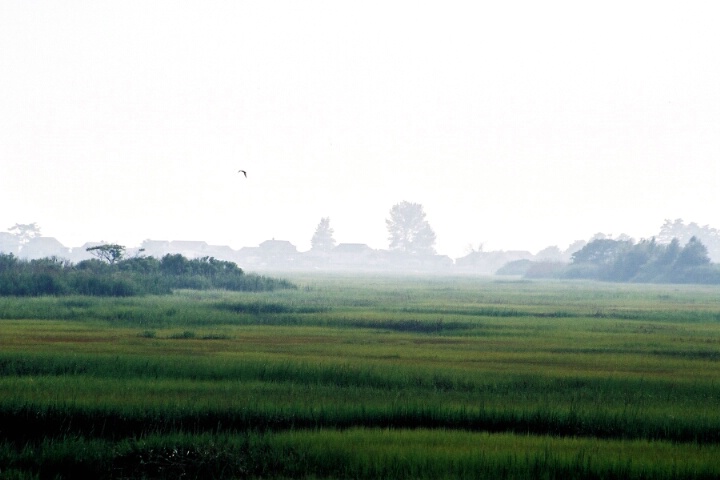 a little foggy
