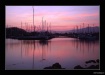 Harbor@Sunset