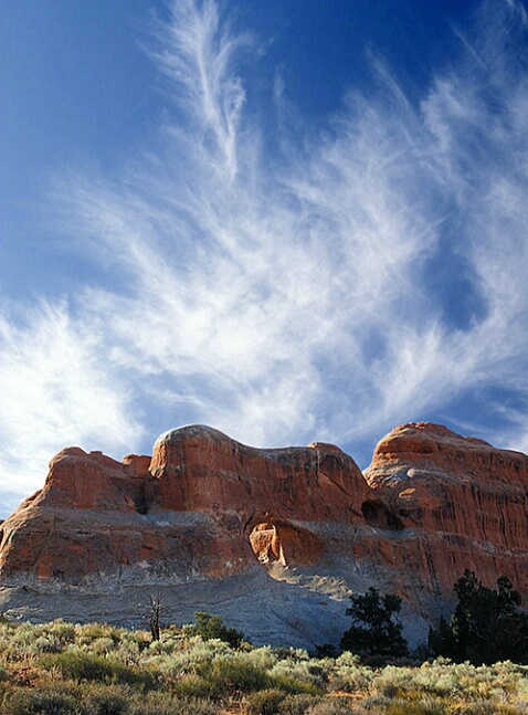 Wilsons Arch - ID: 498418 © Brian d. Reed