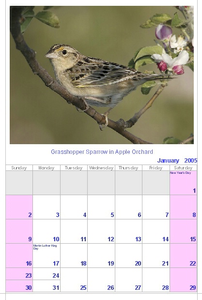 Bird portrait calendar