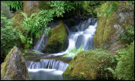 <B>Coy Falls</B>