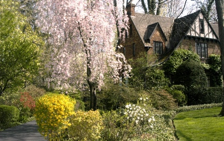 Flowers, Trees & House