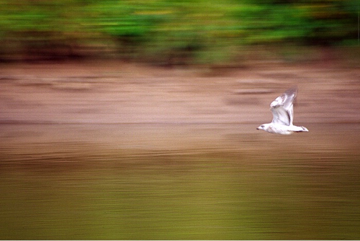 Breaking the Speed Barrier - Panning Motion