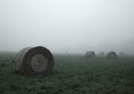 Lesson 4:Foggy Morning on the Farm B&W