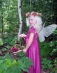 ~Woodland Fairy~