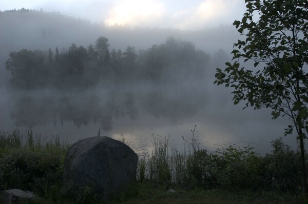 Misty lake