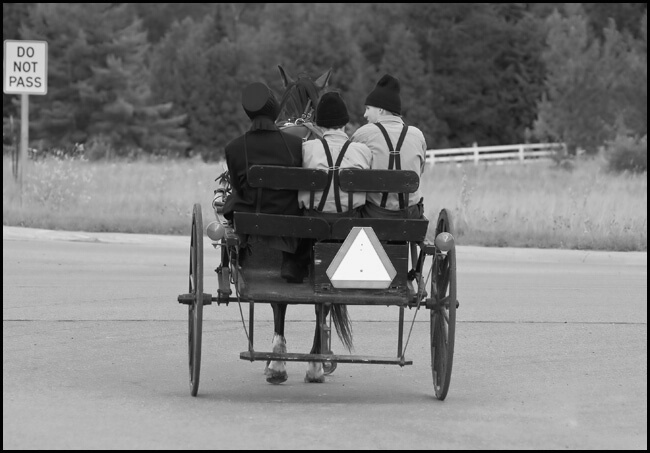 Amish Wagon - Northern Michigan
