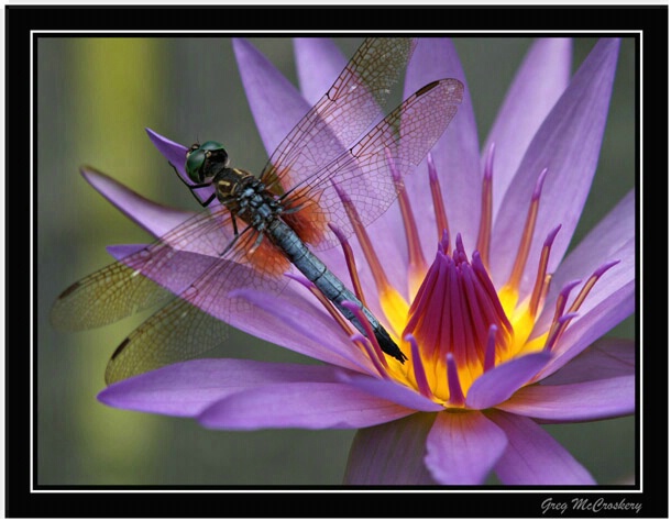 Welcome to imagismphotos.com