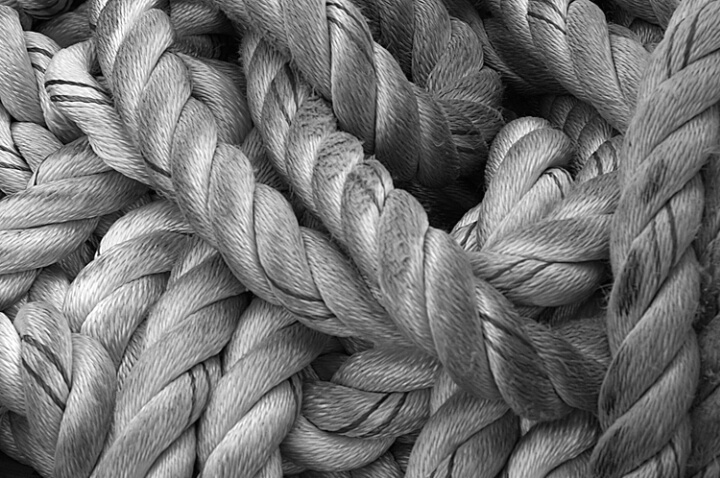 Leading Lines - ID: 511740 © Virginia Ross