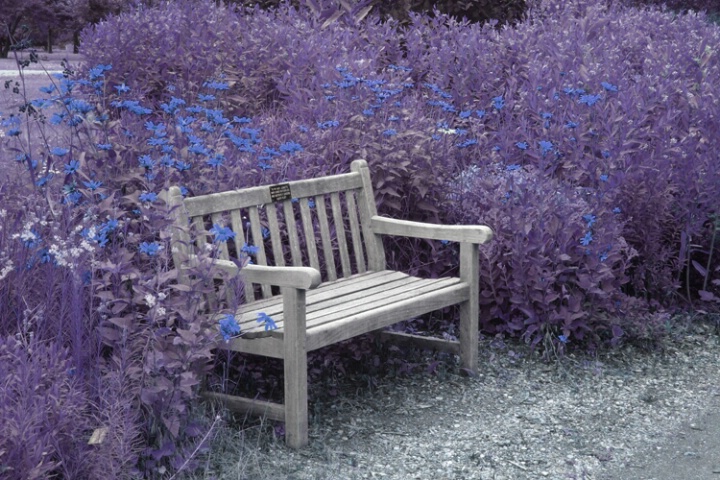 Garden Bench Blue/Purple