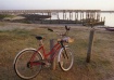 "Red Bike"...