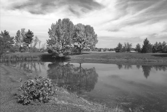 Mr. Tate's Pond [quadtone]
