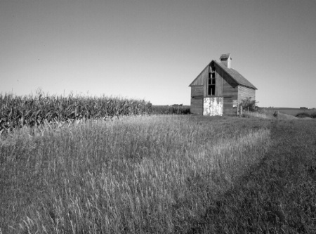 Rural Iowa B&W