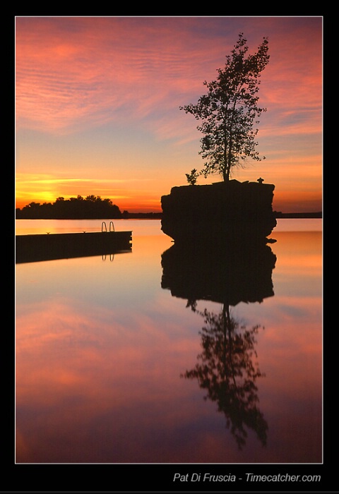 Dreamland