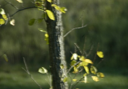 Blurred at zoom with polarizer