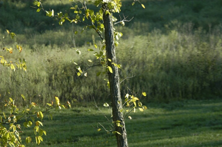 Test-Clearer at 150mm with polarizer