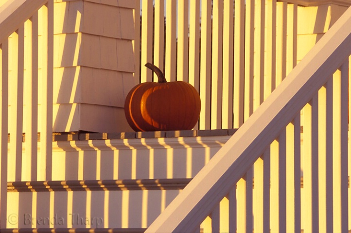 Autumn Porch Scene, Maine