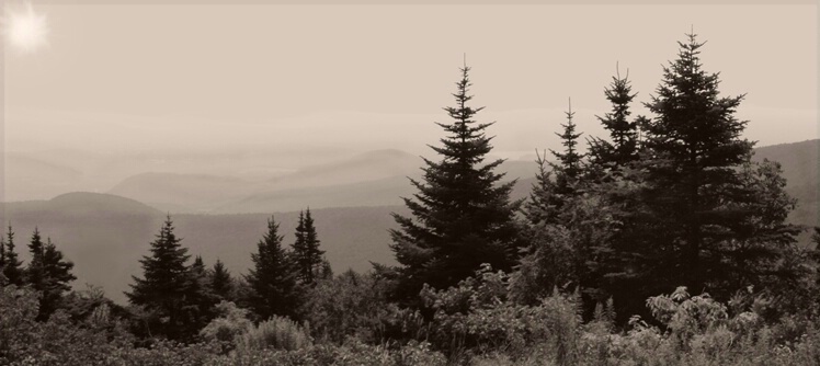 Mist Lifting on Mt. Greylock - ID: 531023 © Sandra Hardt