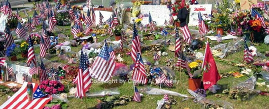 Panorama of flags #61 - ID: 531334 © Cheryl  A. Moseley