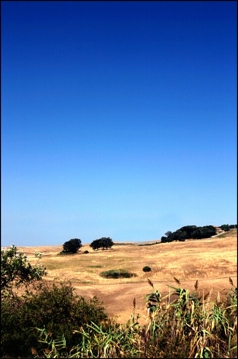 Tuscany's colors