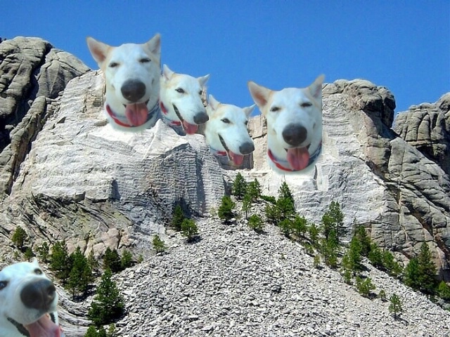 Nicky Goes to Mt. Rushmore (A Dream)