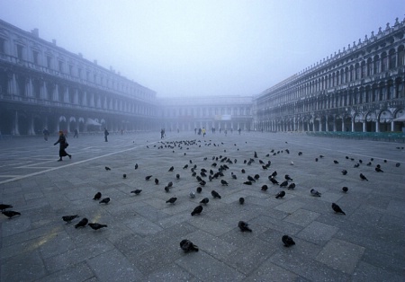 Piazza San Marco In Fog