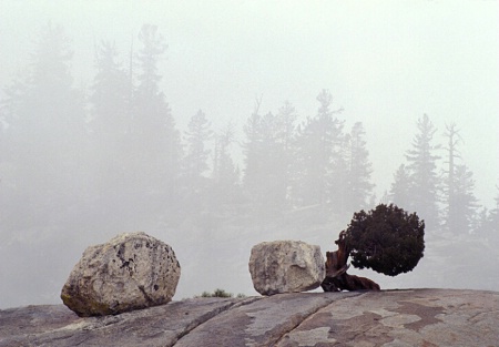 Olmstead Point in Fog