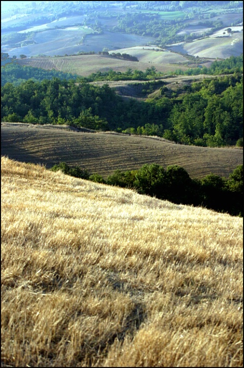 Tuscany's colors