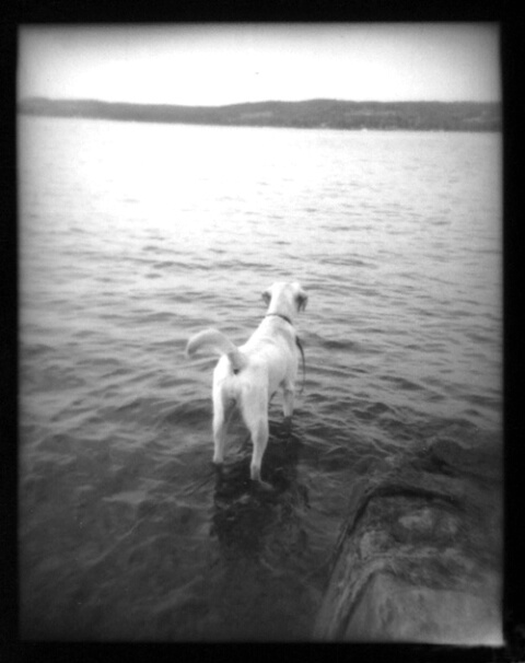 Lillie at the Lake