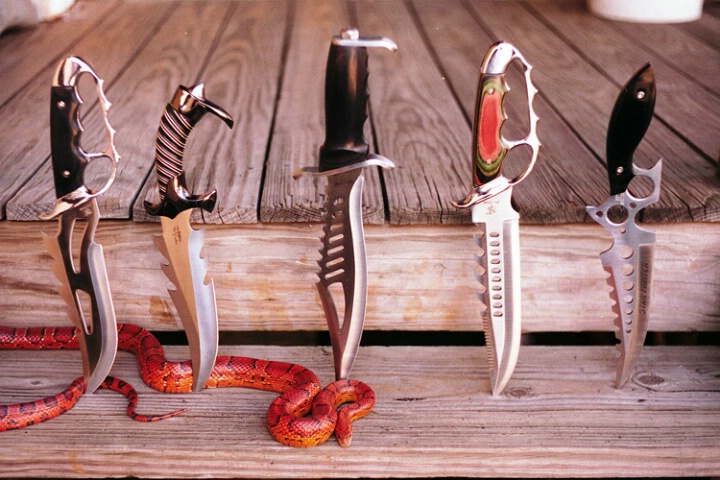 Bowie Knives and Corn Snake