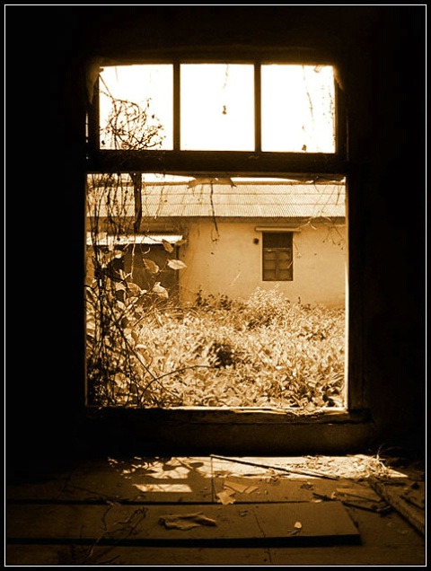 Abandoned Window