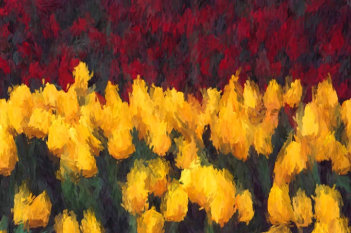 Tulips in Impressionism
