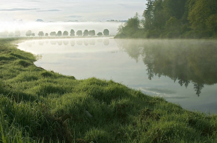Misty Morning on the Slough - ID: 849810 © John Tubbs