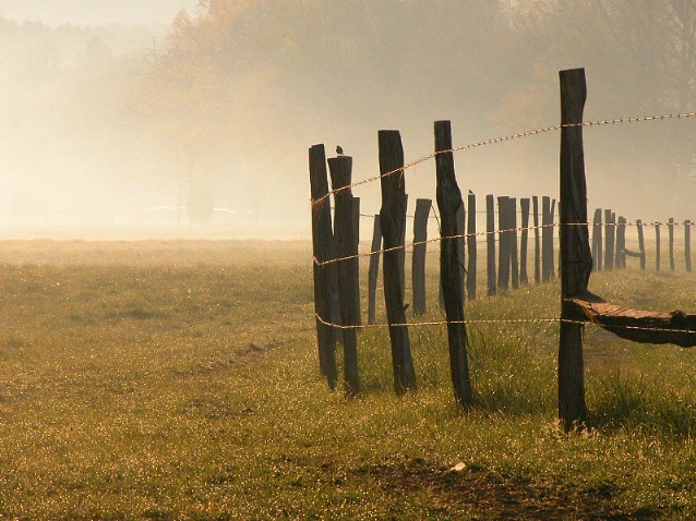 Fence in Cades Cove