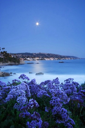 Moonrise Over Laguna