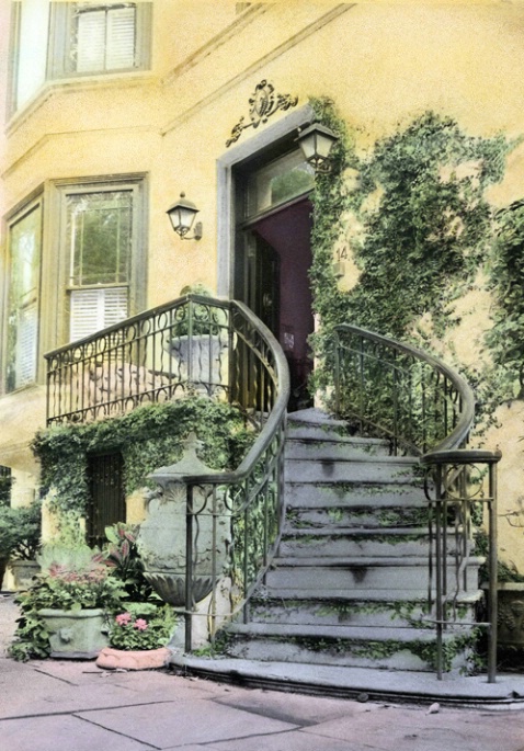 Savannah Staircase