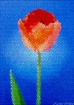 A Tulip for Darre...