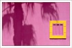 Yellow Fame