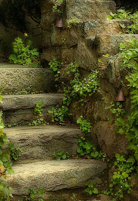 Secret Staircase