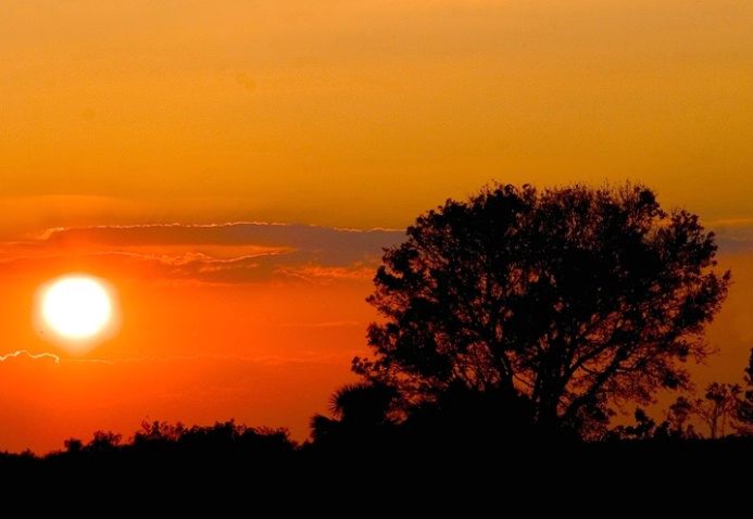 Sunset at Loxahatchee - ID: 874419 © Sandra Hardt