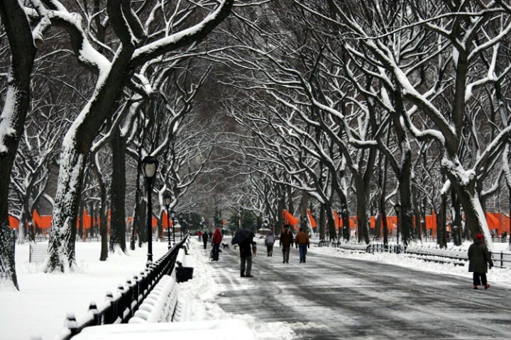 Snowy Central Park