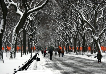 Snowy Central Park