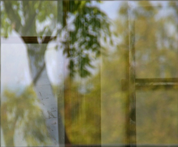 Window Reflection w Ladder - ID: 878639 © Sharon C. Nickodem