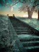 Oakwood Stairway