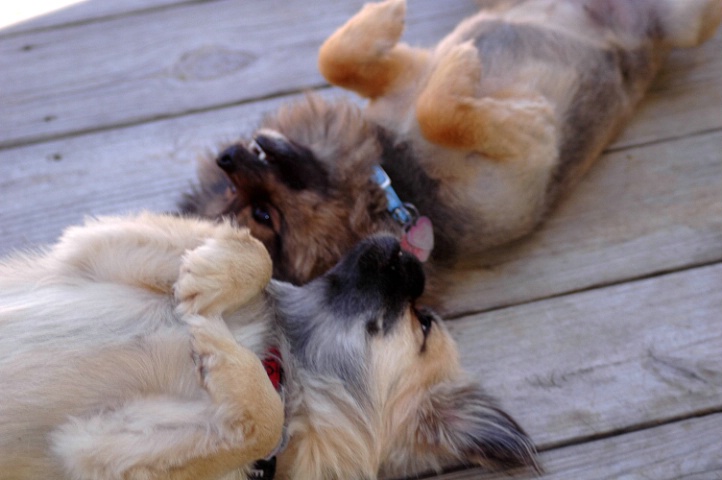Best Friends