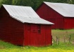 Red On Red