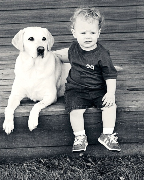 A Boy and his Dog